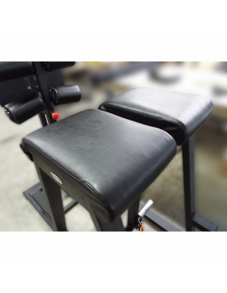 Гиперэкстензия и обратная гиперэкстензия с нагрузкой AV319/80