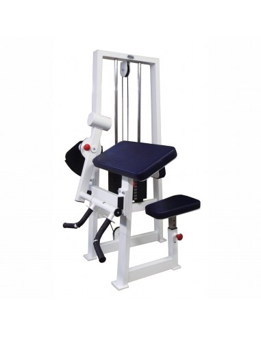 Бицепс-трицепс машина 2 в 1 60 кг AV248/80