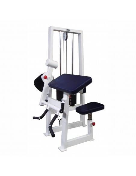 Бицепс-трицепс машина 2 в 1 60 кг AV248/80