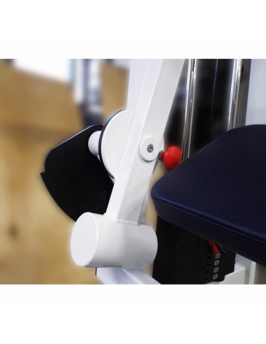 Бицепс-трицепс машина 2 в 1 60 кг AV248/80