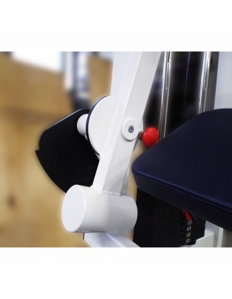 Бицепс-трицепс машина 2 в 1 60 кг AV248/80