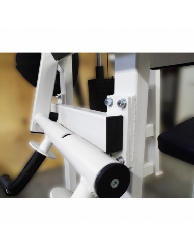 Бицепс-трицепс машина 2 в 1 60 кг AV248/80