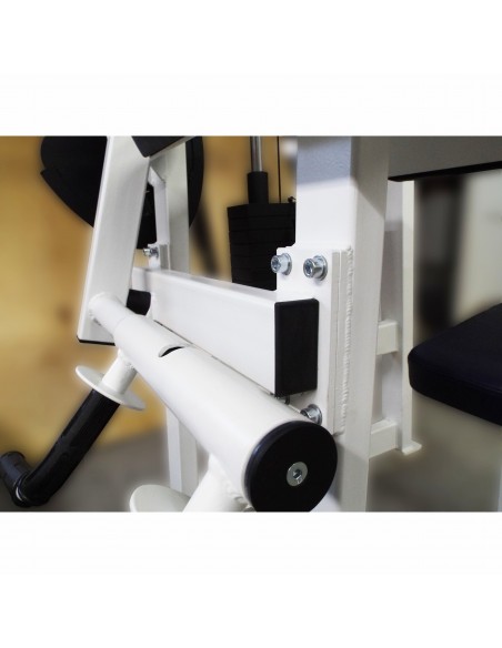 Бицепс-трицепс машина 2 в 1 60 кг AV248/80