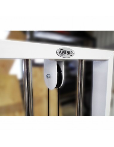 Бицепс-трицепс машина 2 в 1 60 кг AV248/80