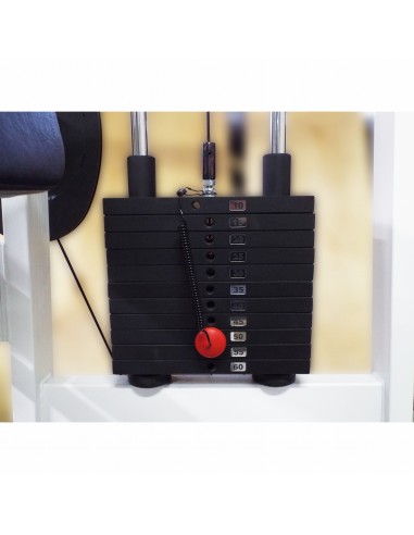 Бицепс-трицепс машина 2 в 1 60 кг AV248/80