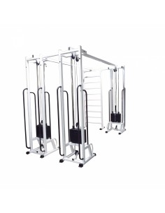 Блочная рама тройная со шведской стенкой МТБ-6 3х90 кг...