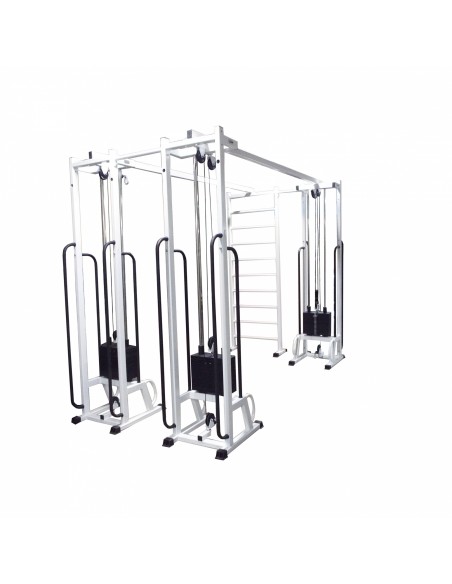 Блочная рама тройная со шведской стенкой МТБ-6 3х90 кг AV254/50