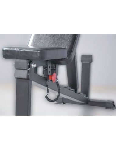 Скамья универсальная регулируемая AV107/50