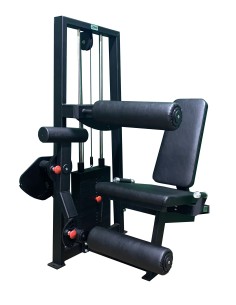 Сгибание-разгибание ног сидя 2 в 1 100 кг AV216/80