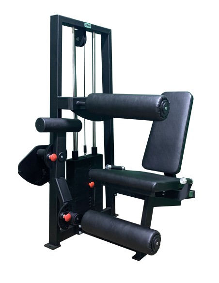 Сгибание-разгибание ног сидя 2 в 1 100 кг AV216/80