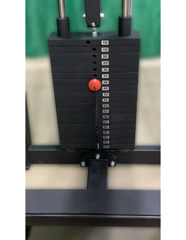 Голень машина стоя 100 кг AV251/80