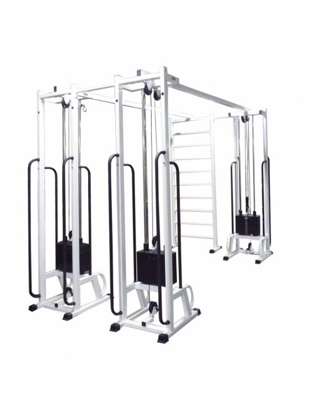 Блочная рама тройная со шведской стенкой МТБ-6 3х90 кг AV254/50