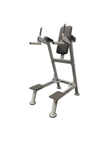 Брусья-пресс AV114/100