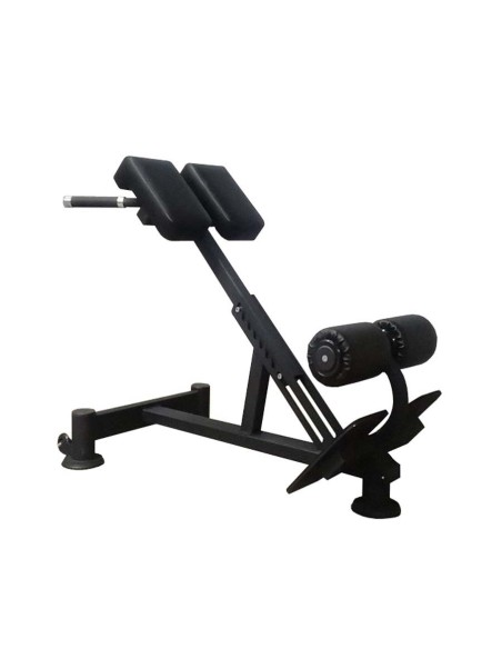 Гиперэкстензия 45° AV111/100