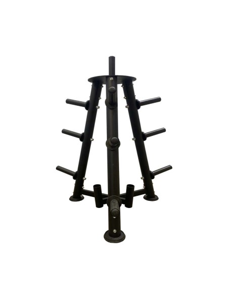 Подставка для олимпийских грифов и дисков AV608/100