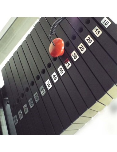 Сведение ног сидя 80 кг AV249/80