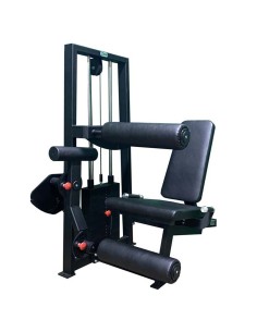 Сгибание-разгибание ног сидя 2 в 1 100 кг AV216/80